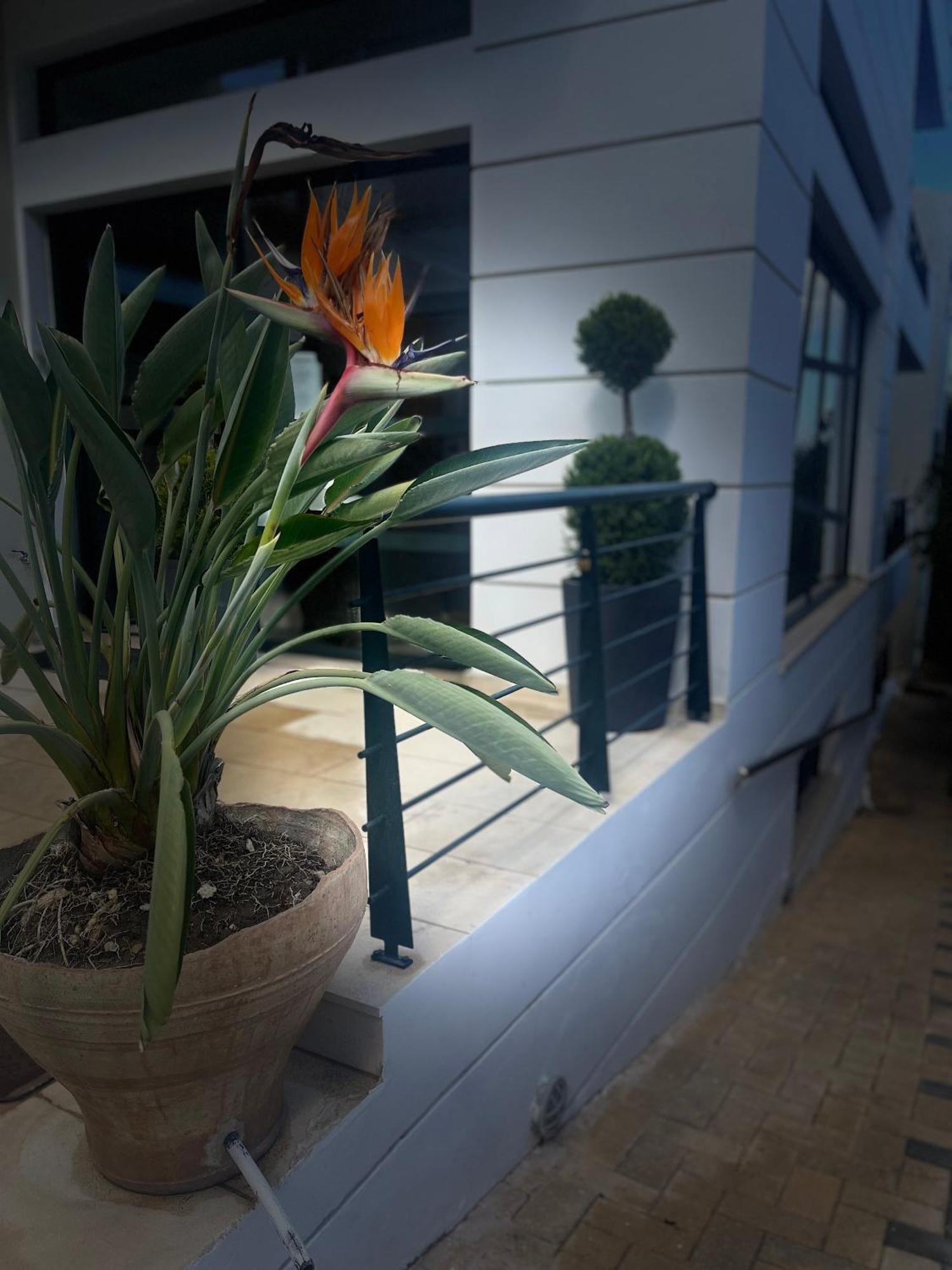 Myrthe Apartments Myrtos Екстериор снимка